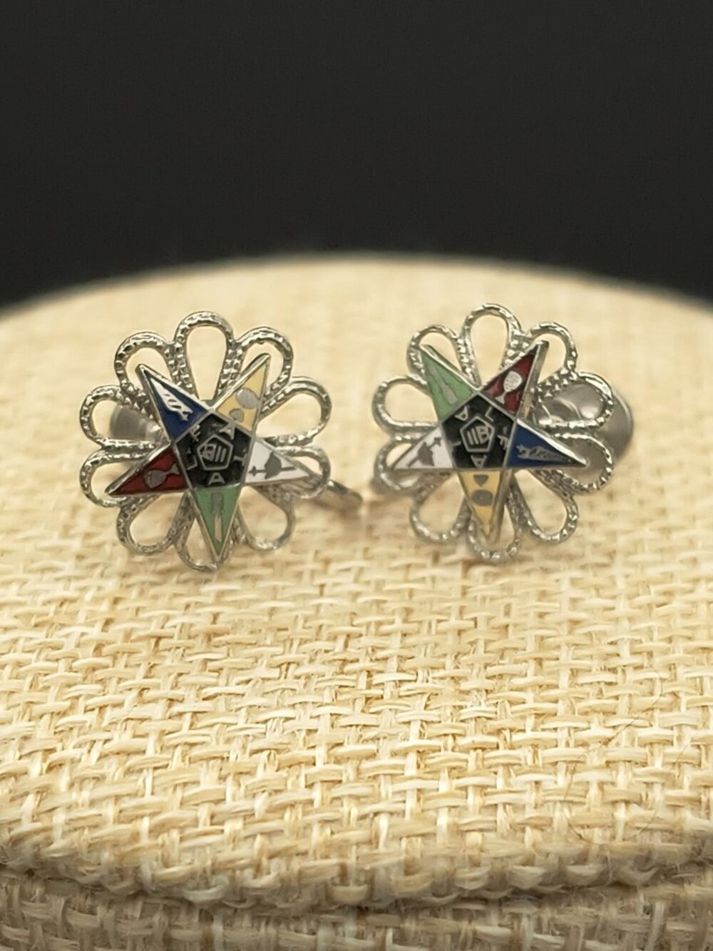 Vintage Order of the Eastern Star Silver Tone Enamel Screw Back Earrings